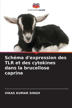 portada Schéma d'expression des TLR et des cytokines dans la brucellose caprine (en Francés)
