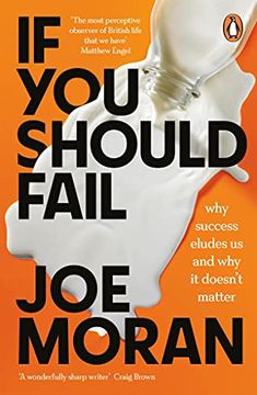 portada If you Should Fail: Why Success Eludes us and why it Doesn’T Matter (en Inglés)