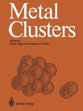portada metal clusters: proceedings of an international symposium, heidelberg, april 7 11, 1986