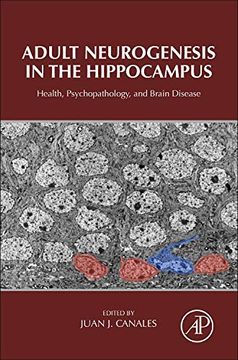 portada Adult Neurogenesis in the Hippocampus: Health, Psychopathology, and Brain Disease (en Inglés)