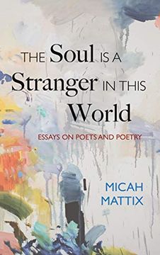 portada The Soul is a Stranger in This World (in English)