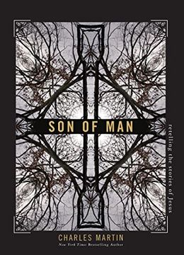 portada Son of Man: Retelling the Stories of Jesus (en Inglés)