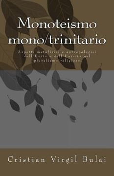 portada Monoteismo monotrinitario: cristianesimo, islam, induismo (in Italian)