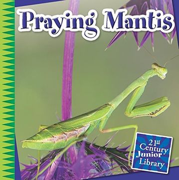 portada Praying Mantis (21st Century Junior Library: Creepy Crawly Critters) (en Inglés)