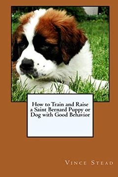portada How to Train and Raise a Saint Bernard Puppy or dog With Good Behavior