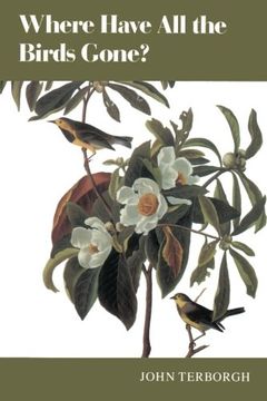 portada Where Have all the Birds Gone? Essays on the Biology and Conservation of Birds That Migrate to the American Tropics (en Inglés)