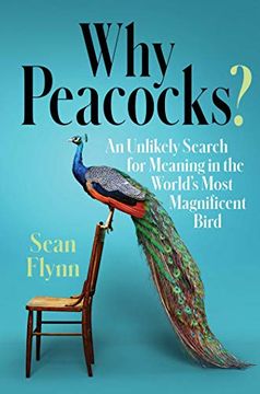 portada Why Peacocks? An Unlikely Search for Meaning in the World'S Most Magnificent Bird (en Inglés)