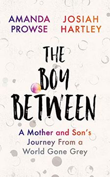 portada The boy Between: A Mother and Son’S Journey From a World Gone Grey