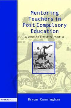portada mentoring teachers in post-compulsory education: a guide to effective practice