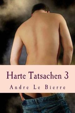 portada Harte Tatsachen 3: Schwule Erotikgeschichten (in German)