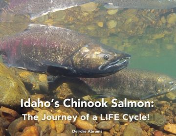 portada Idaho's Chinook Salmon: The Journey of a LIFE Cycle (en Inglés)