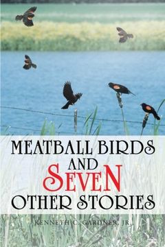 portada Meatball Birds and Seven Other Stories (en Inglés)