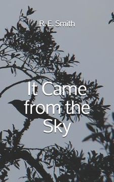 portada It Came from the Sky (en Inglés)