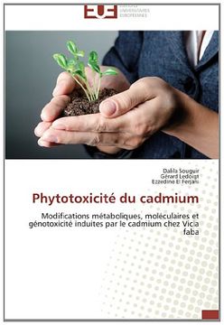 portada Phytotoxicité du cadmium: Modifications métaboliques, moléculaires  et génotoxicité induites par le cadmium chez Vicia  faba
