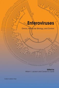 portada Enteroviruses: Omics, Molecular Biology, and Control (en Inglés)