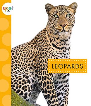 portada Leopards (en Inglés)