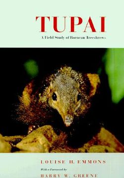 portada tupai: a field study of bornean treeshrews (en Inglés)