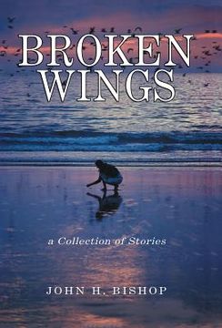 portada Broken Wings: A Collection of Stories (en Inglés)