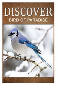 portada Birds Of Paradise - Discover: Early reader's wildlife photography book