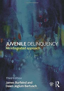 portada Juvenile Delinquency: An integrated approach