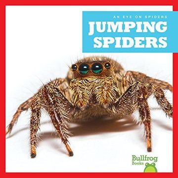 portada Jumping Spiders (en Inglés)