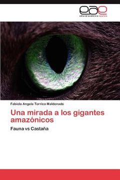 portada una mirada a los gigantes amaz nicos (in Spanish)
