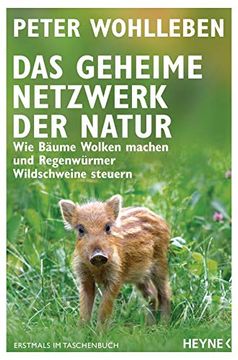 portada Das Geheime Netzwerk der Natur: Wie Bäume Wolken Machen und Regenwürmer Wildschweine Steuern (en Alemán)