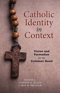 portada Catholic Identity in Context: Vision and Formation for the Common Good: Volume 6 (The Lane Center Series) (en Inglés)