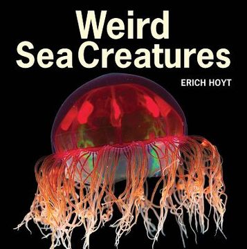 portada weird sea creatures