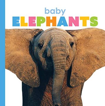 portada Baby Elephants (Starting Out) (en Inglés)