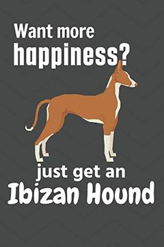 portada Want More Happiness? Just get an Ibizan Hound: For Ibizan Hound dog Fans (en Inglés)