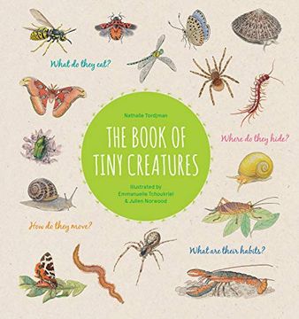portada The Book of Tiny Creatures (in English)