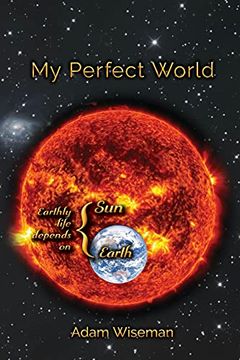 portada My Perfect World (en Inglés)