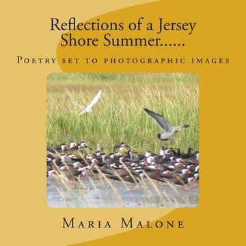 portada Reflections of a Jersey Shore Summer...... (in English)
