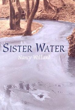 portada sister water (en Inglés)