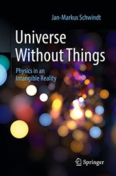 portada Universe Without Things: Physics in an Intangible Reality