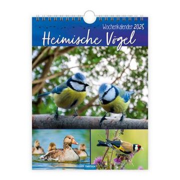 portada Trötsch Wochenkalender zum Hängen Heimische Vögel 2025: Wandkalender