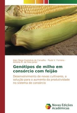 portada Genótipos de milho em consórcio com feijão: Desenvolvimento de novas cultivares, a solução para o aumento da produtividade no sistema de consórcio
