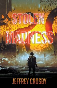 portada Stolen Madness (in English)