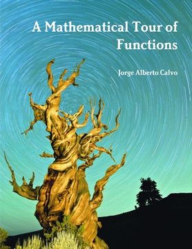 portada A Mathematical Tour of Functions (in English)