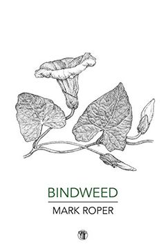 portada Bindweed