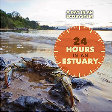 portada 24 Hours in an Estuary (A Day in an Ecosystem)