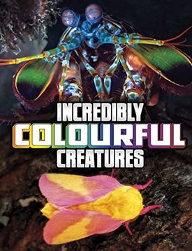 portada Incredibly Colourful Creatures (en Inglés)