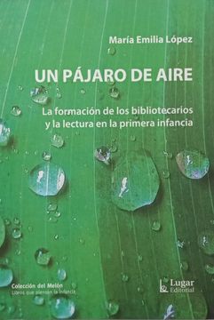 portada Un Pajaro de Aire