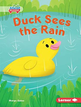 portada Duck Sees the Rain (Let'S Look at Weather: Pull Ahead Readers - Fiction) (en Inglés)
