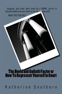 portada The David and Goliath Factor or How To Represent Yourself in Court (en Inglés)