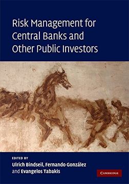 portada Risk Management for Central Banks and Other Public Investors (en Inglés)