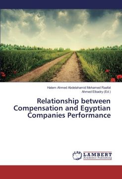 portada Relationship between Compensation and Egyptian Companies Performance