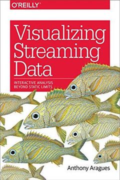portada Visualizing Streaming Data: Interactive Analysis Beyond Static Limits 
