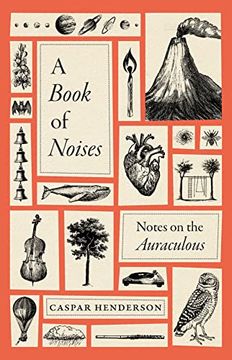portada A Book of Noises: Notes on the Auraculous (in English)
